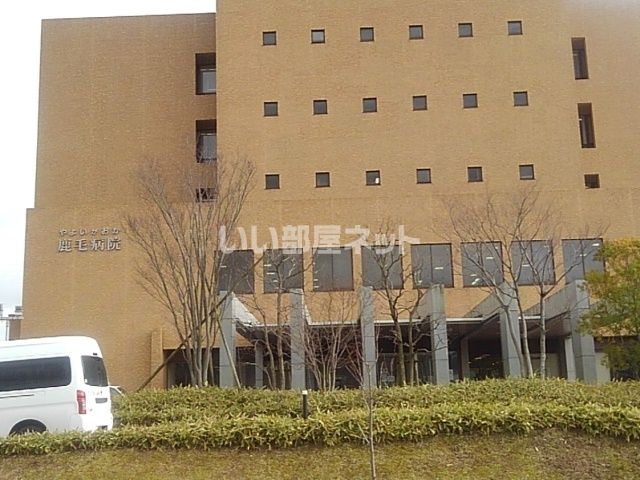 病院　鹿毛病院（病院）まで575m