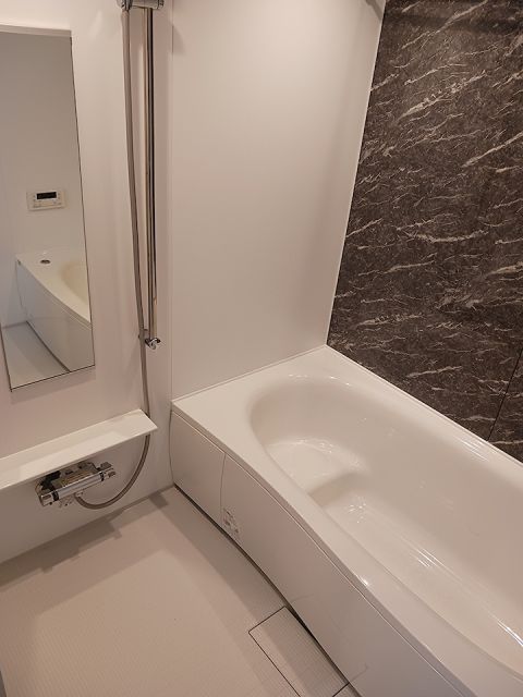 トレグロリアの風呂写真