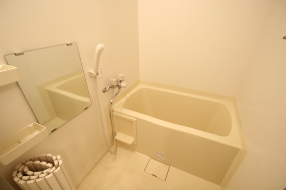 バス・シャワールーム　※別部屋の写真です