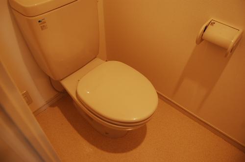 トイレ　トイレ　※別号室参考写真