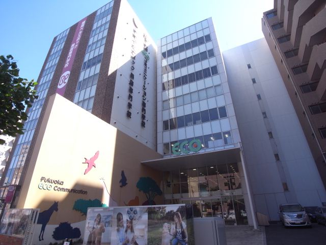 ドラックストア　福岡ＥＣＯコミュニケーション専門学校（ドラッグストア）まで550m