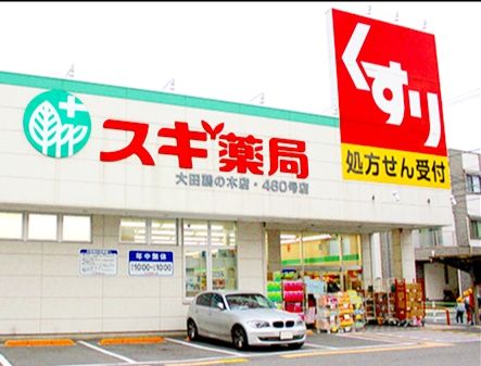ドラックストア　スギ薬局大田鵜の木店（ドラッグストア）まで220m