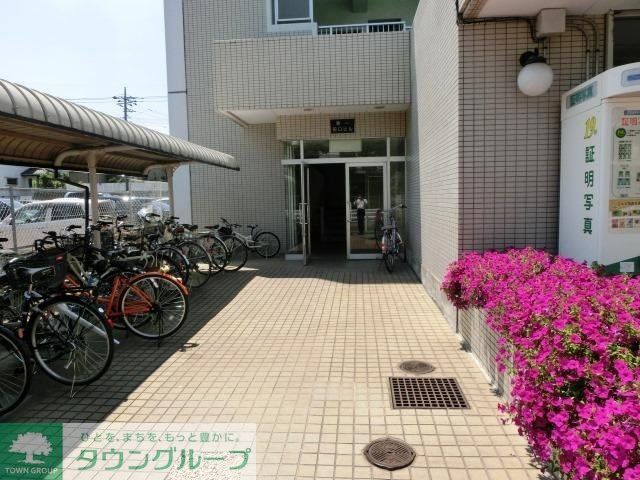 庭