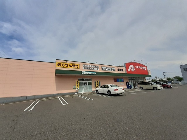 ドラックストア　クスリのアオキ小新店（ドラッグストア）まで350m