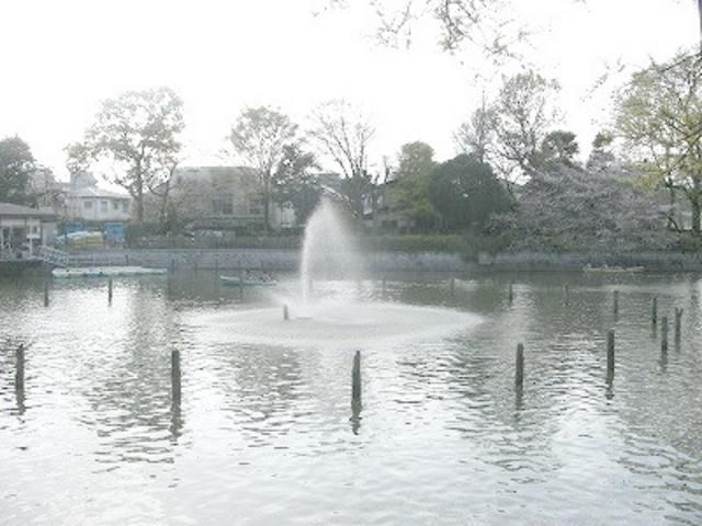 公園　碑文谷公園（公園）まで517m