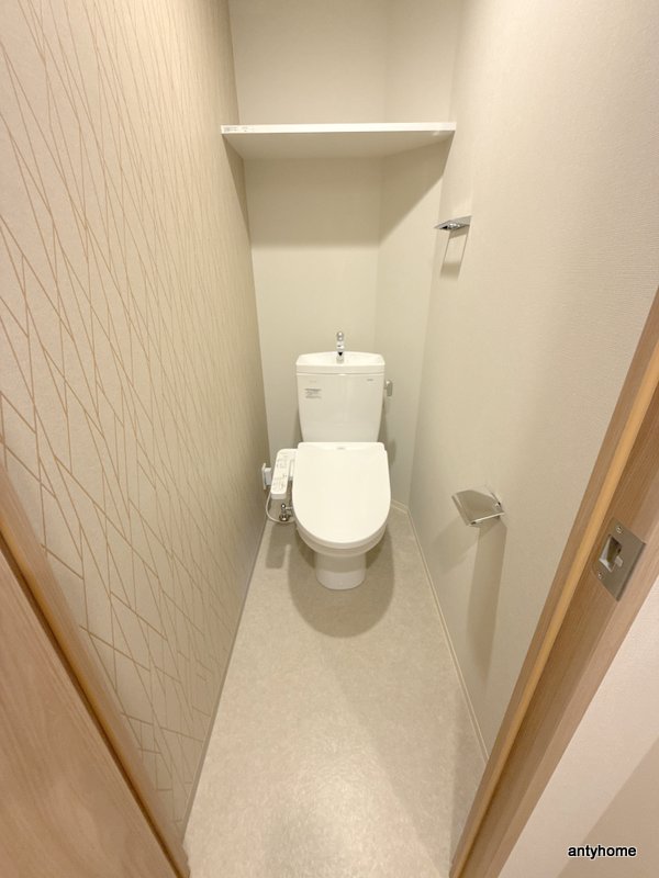 ミラージュパレス新梅田Cieloのトイレ写真