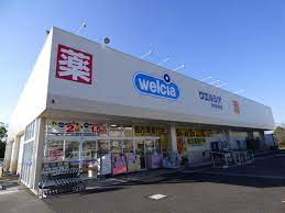 ドラックストア　ウエルシア（ドラッグストア）まで114m