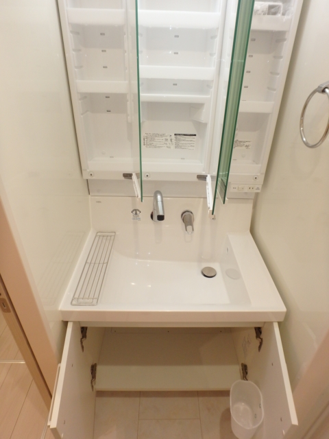 洗面設備　[ＤＬ　フォレスト中央林間102]内装写真