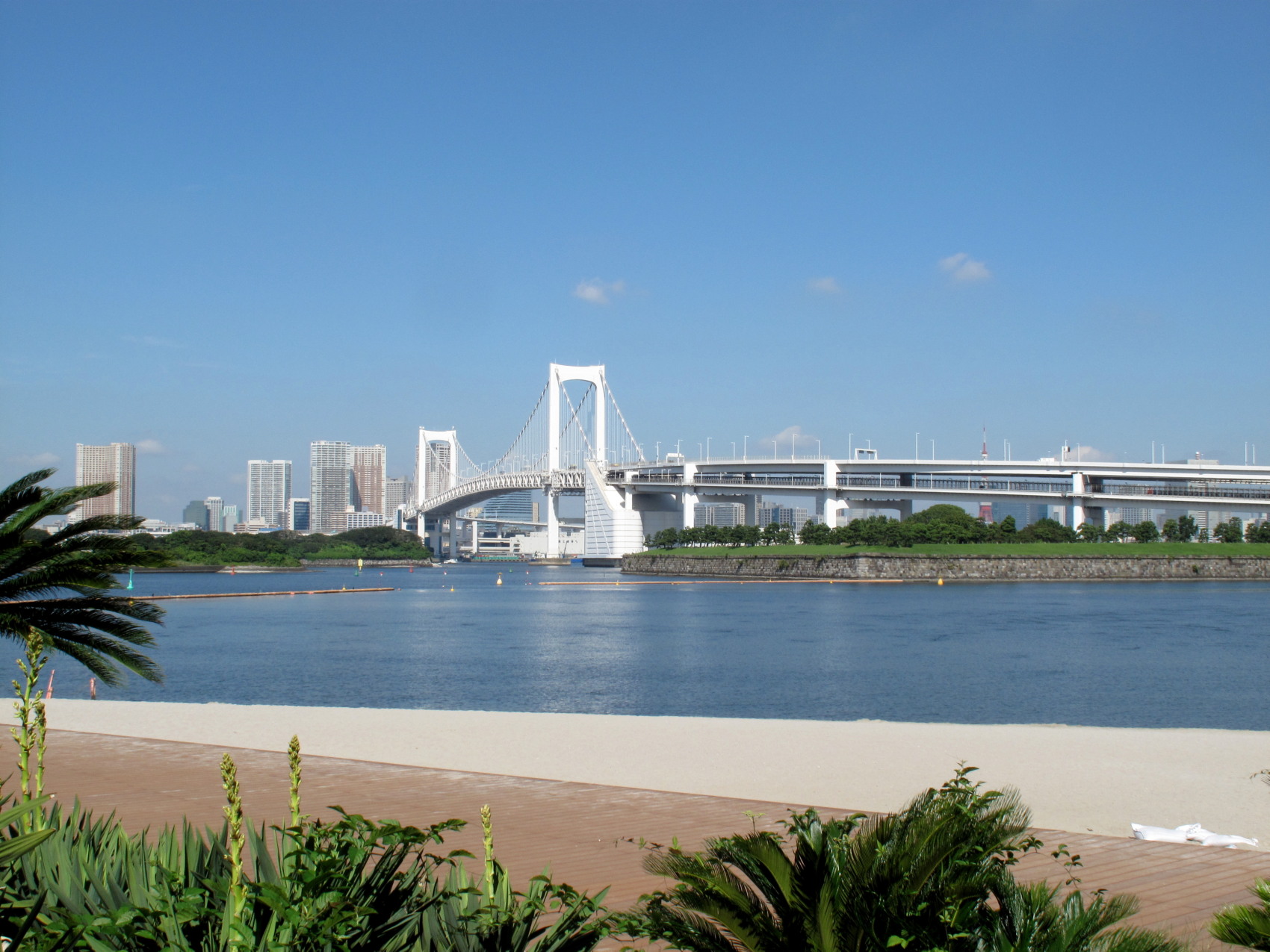 【Brillia有明　Sky Towerの公園】