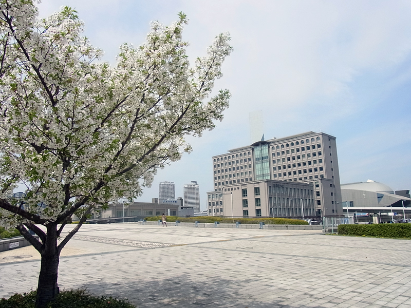 【Brillia有明　Sky Towerの図書館】