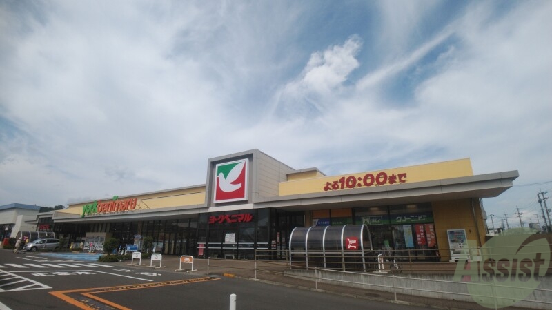 スーパー　ヨークベニマル泉野村店（スーパー）まで897m