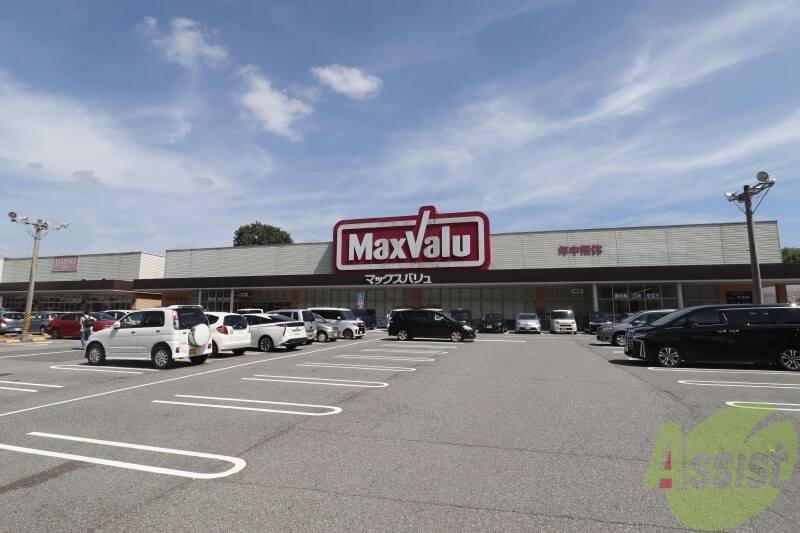 スーパー　マックスバリュ　大池店（スーパー）まで1102m