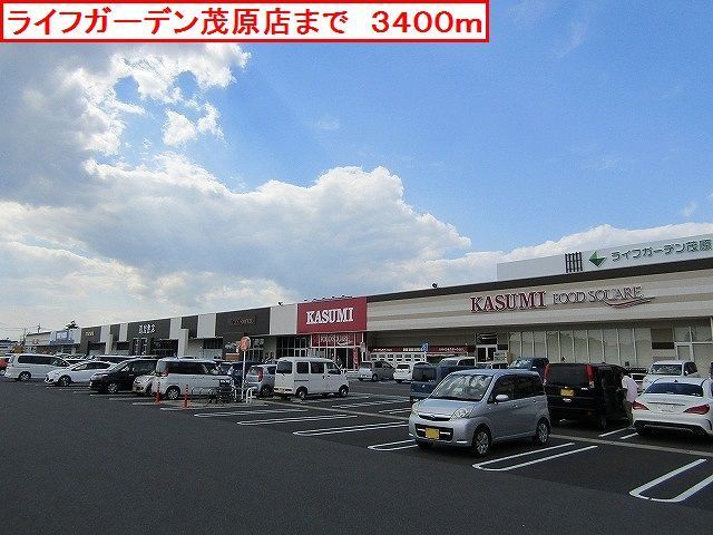 ショッピングセンター　ライフガーデン茂原店（ショッピングセンター）まで3400m