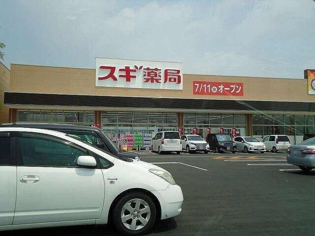ドラックストア　スギドラッグ前橋小島田店（ドラッグストア）まで1300m