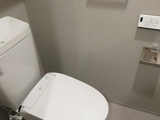 トイレ　トイレも気になるポイント