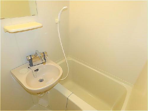 バス・シャワールーム　洗面台とユニット式のお風呂です