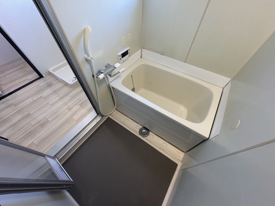 バス・シャワールーム　※別部屋の写真です