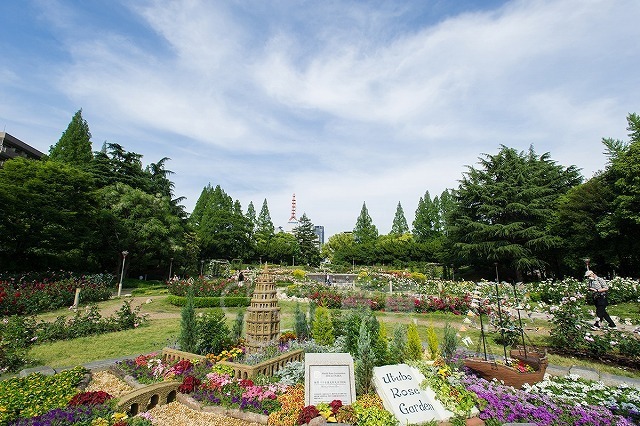 公園　靱公園（公園）まで855m