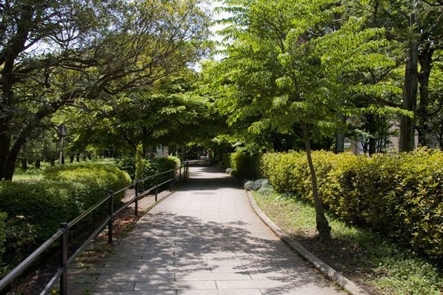 公園　砧公園（公園）まで738m