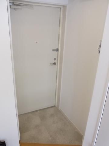 玄関　大きいシューズＢＯＸで助かります