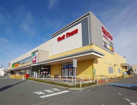 ショッピングセンター　ヨークタウン谷川瀬（ショッピングセンター）まで565m