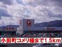 ホームセンター　小田町コメリ様（ホームセンター）まで1500m