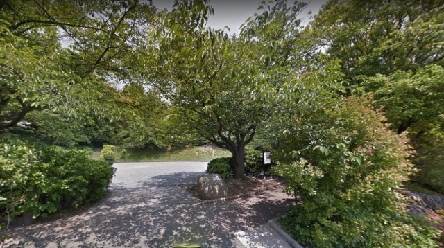 公園　日吉本町鯛ケ崎公園（公園）まで966m
