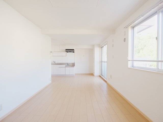 マンション久保1号の居間写真