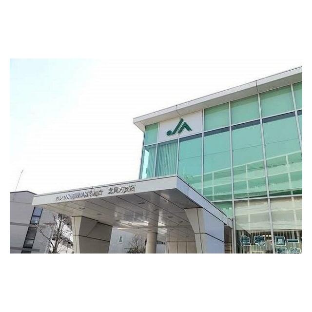 銀行　JAセレサ（銀行）まで300m