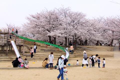 　水尾公園（その他　453m）