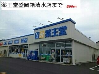 ドラックストア　薬王堂盛岡厨川店（ドラッグストア）まで800m