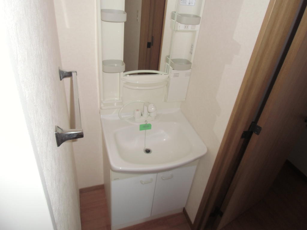 洗面設備　シャンプードレッサー。反対側には洗濯機置き場あります