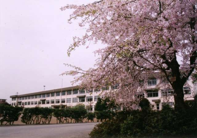 【ファミリーカーサの小学校】