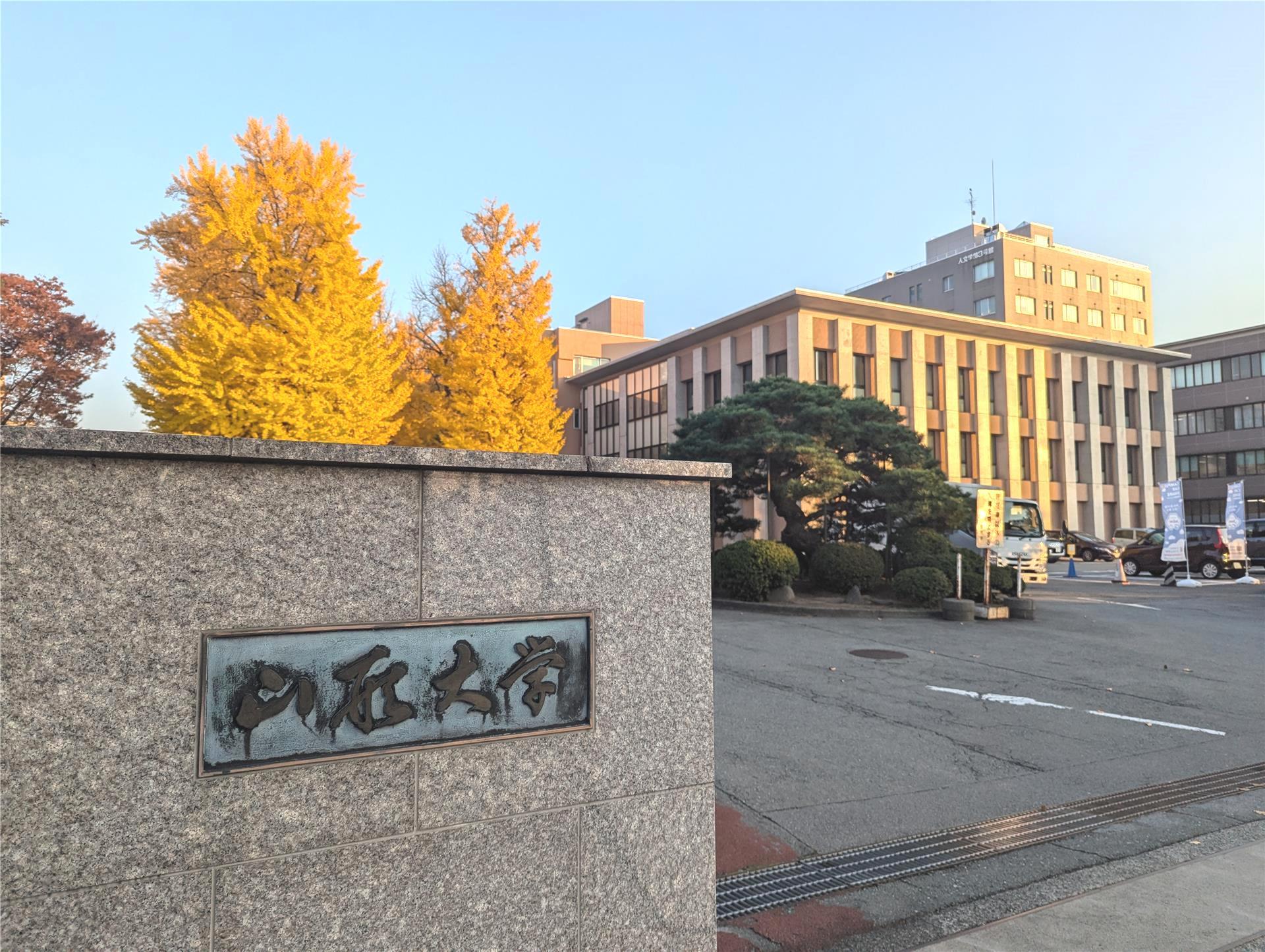 大学・短大　国立山形大学（大学・短大）まで1111m