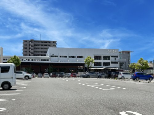 その他　高知 蔦屋書店（その他）まで236m