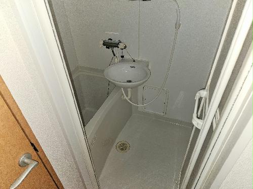バス・シャワールーム　備品や設備仕様は号室により異なります。現地をご確認下さい。