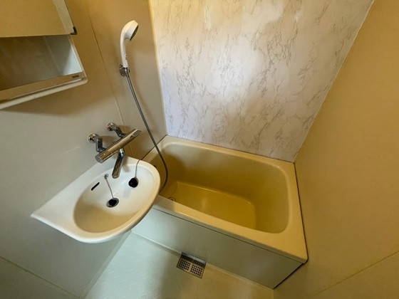 バス・シャワールーム　※別部屋の写真です