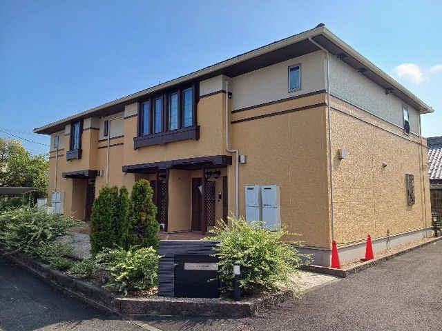 チェリー・ブロッサムの画像