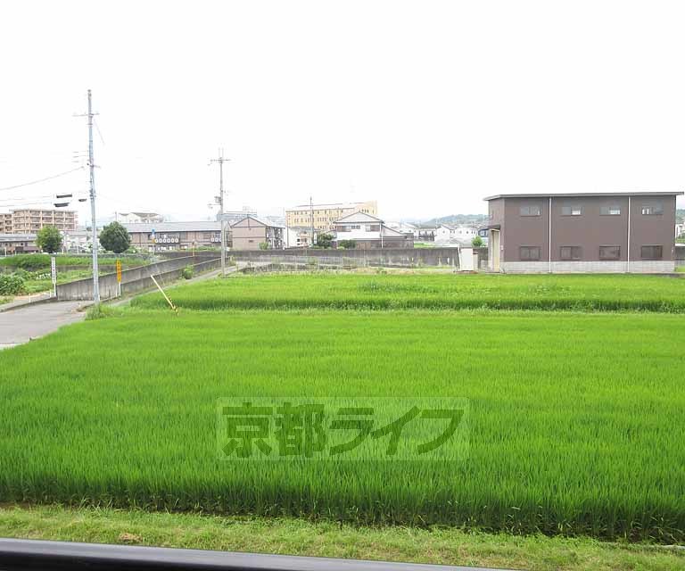 眺望　のどかな風景です。