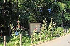 公園　西宿自然緑地（公園）まで1548m