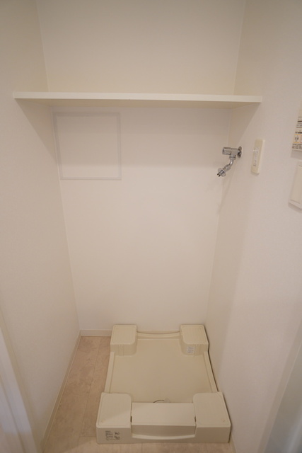 その他　２０２５年３月撮影