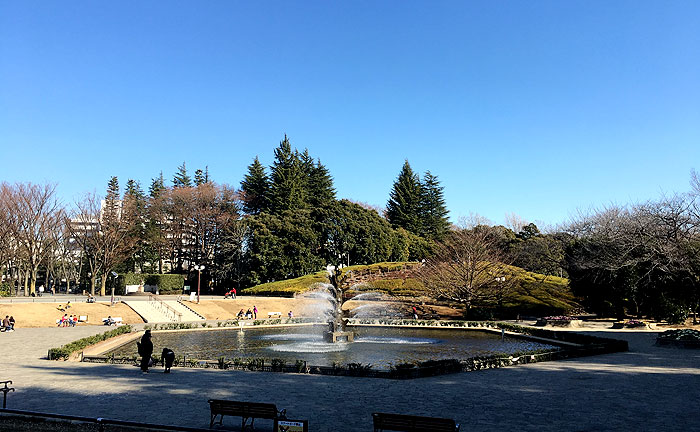 公園　世田谷公園（公園）まで820m