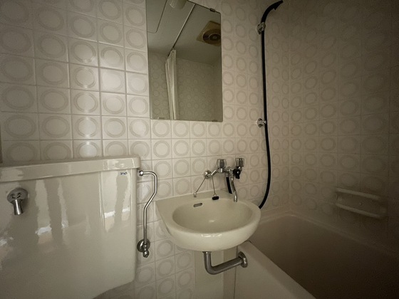 洗面設備　※別号室の写真です