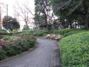 公園　目黒区民センター公園（公園）まで219m