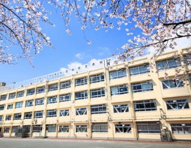 小学校　豊島区立清和小学校（小学校）まで237m