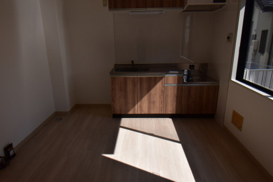 居室・リビング　※別部屋の写真です