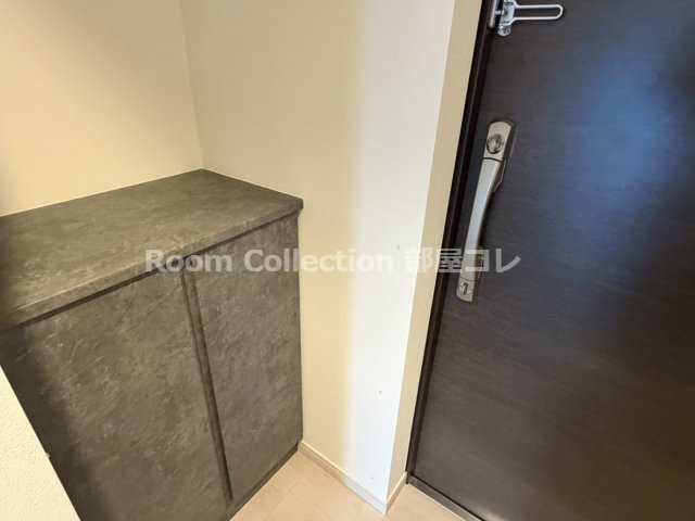 玄関　※同物件他部屋写真 反転、色違いの場合有 現況優先