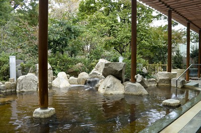 その他　バーデと天然温泉 豊島園 庭の湯（その他）まで5913m
