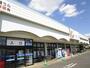 ドラックストア　カワチ薬品 渡里店（ドラッグストア）まで585m