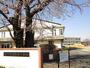 小学校　水戸市立渡里小学校（小学校）まで842m